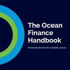 Increasing finance for a healthy ocean