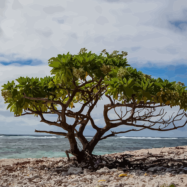 Steps To Jumpstart Your Mangrove Investment Journey