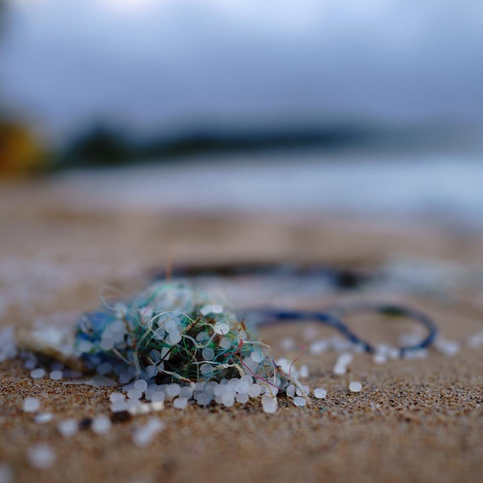 ‘Nurdles are everywhere’ how plastic pellets ravaged a Sri Lankan par