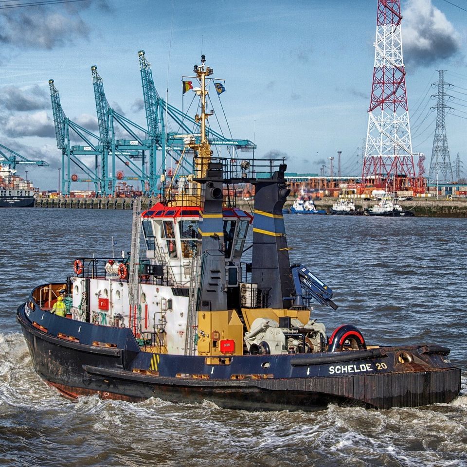 Seafood Sector Giants Focus Action on Closing Ports and Supply Chains