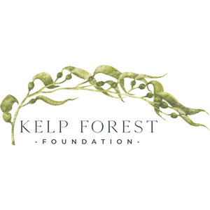 Kelp Forest Foundation - unlocking the power of kelp