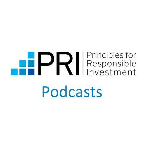 The Principles for Responsible Investment