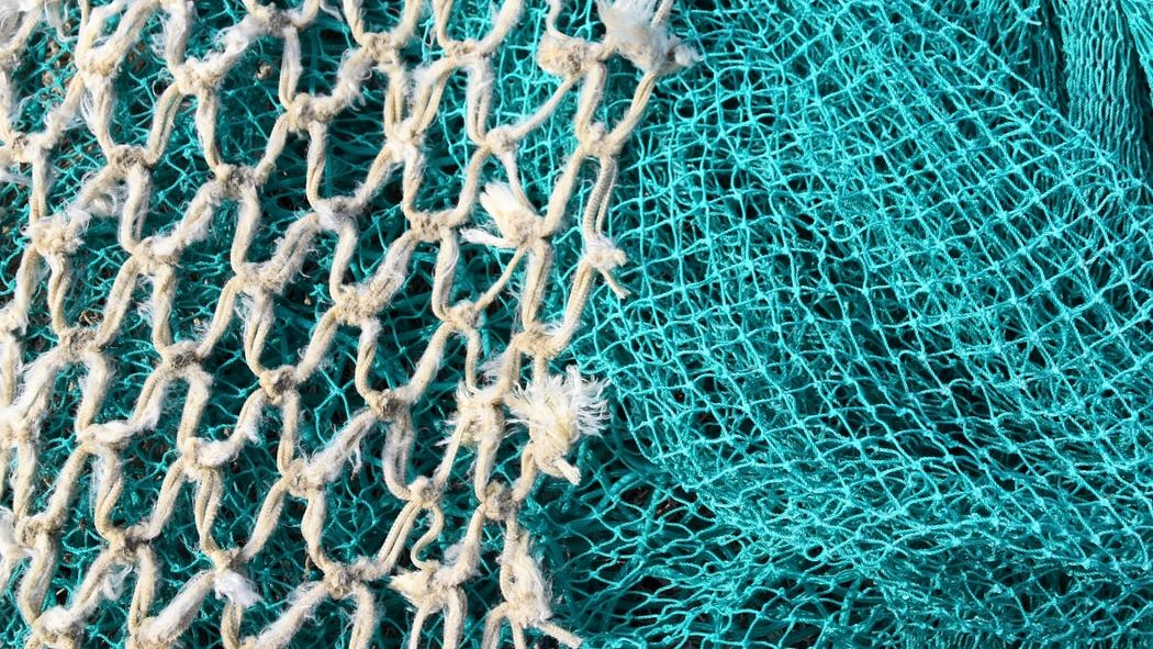biodegradable fishing nets for sale Tubular Netting Reef Restoration The Foldable Fishing Trap 2024 New The Fishing Trap Fishing Kit Fishing Net For Fish Shrimp Crawfish Crab Features 42" Authentic Used Fishing Net