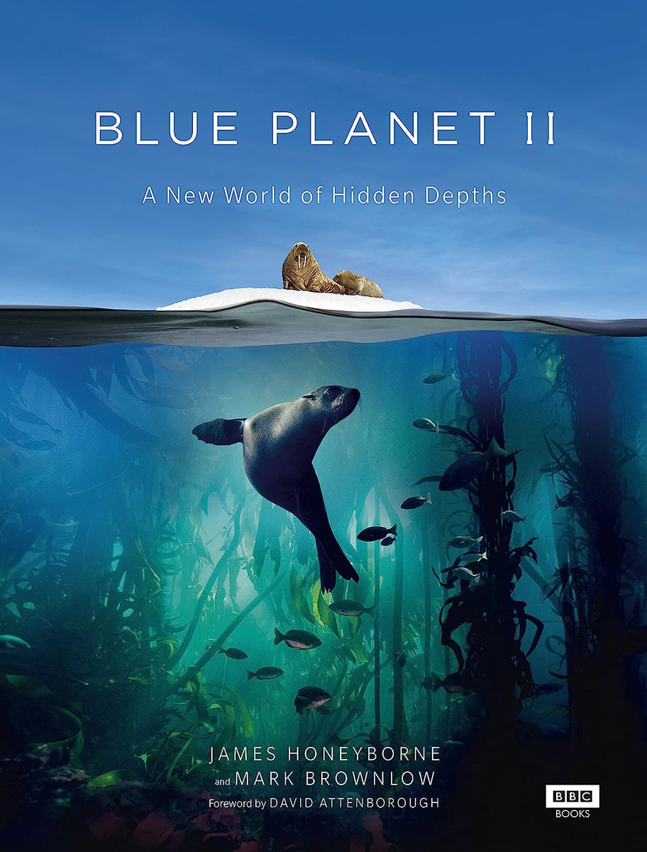 Blue Planet II – Investable Oceans