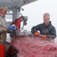 Maine's Shrimp Crisis Reveals A Big Climate Change Problem We're Not Talking About