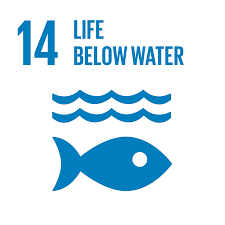 SDG 14: Conserve and sustainably use the oceans