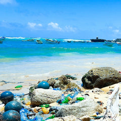 Stem the tide of ocean pollution to save billions of lives, dollars, and our coral reefs