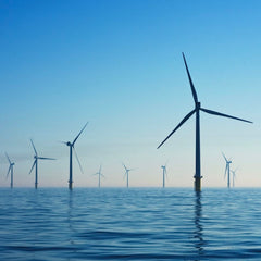 ‘Possible, but still far away’: Offshore wind farms and aquaculture may one day go hand-in-hand