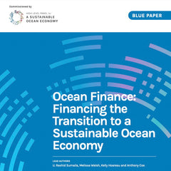 Ocean Finance: Financing the Transition to a Sustainable Ocean Economy