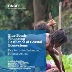 Blue Bonds: Financing Resilience of Coastal Ecosystems