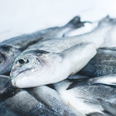 Can blockchain provide more transparent supply chains for seafood?