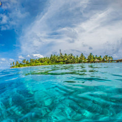 Towards a Regenerative Blue Economy: Mapping the Blue Economy