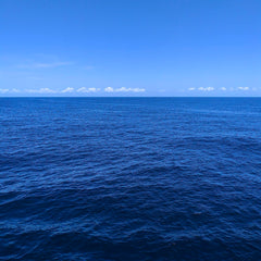 Ocean Visions Launches New mCDR Ecosystem Database To Streamline Sector Communication