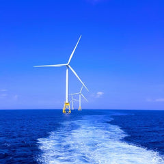Proserv, Synaptec Developing Cable Monitoring Solution for Offshore Wind