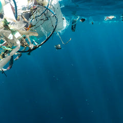 Welcome to the ‘plastisphere’: the synthetic ecosystem evolving at sea