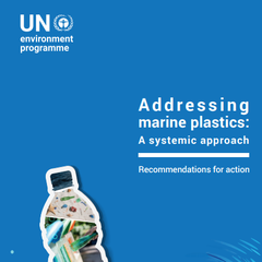 Addressing Marine Plastics: A Systemic Approach – Recommendations for Actions