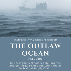 The Outlaw Ocean: Business and Technology Solutions that Address Illegal Fishing and Labor Abuses in Seafood Supply Chains