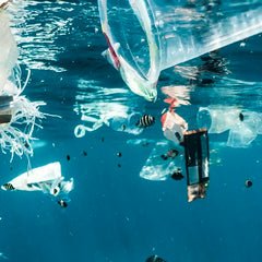 How scientific research can enable stricter plastic pollution laws