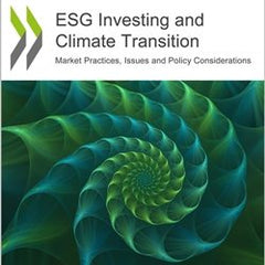 ESG Investing and Climate Transition: Market Practices, Issues and Policy considerations