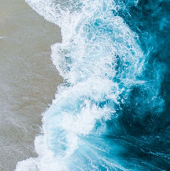 U.S Delegation Announced $6 billion USD in Commitments to Address Threats to Our Ocean, Doubling Last Year’s Pledge