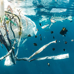 Ocean plastic pollution: investing for social and financial returns