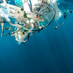 How plastic and chemical pollution contribute to the climate crisis