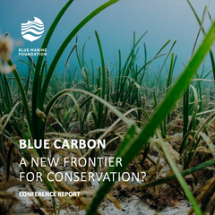 Blue Carbon: A New Frontier for Ocean Conservation?