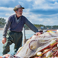 The big blue: financing sustainable seafood