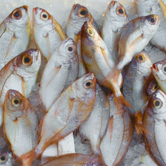 5 Ways Sustainable Seafood Can Benefit People and the Environment
