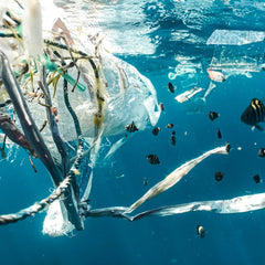 Opinion: Reducing Plastic Pollution in Our Oceans Is Simpler Than You Think