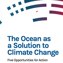 The Ocean as a Solution to Climate Change