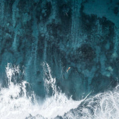 Oceans “Forgotten” in Nature-related Analyses – UNEP FI
