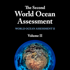 The Second World Ocean Assessment (Volume II)