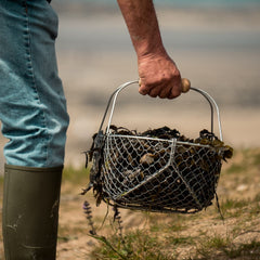 Grow your own mussels: the new phenomenon of sea allotments
