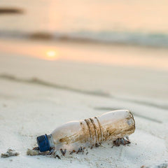 Meet the next generation turning the tide on plastic pollution