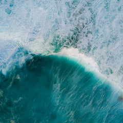 COP28: mainstreaming the ocean agenda