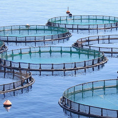 What mitigating the pandemic can teach us about aquaculture sustainability