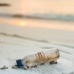 News Spotlight: Just How Big Is The Ocean Plastic Problem?