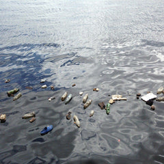 Plastic Pollution: We Need To Act Now