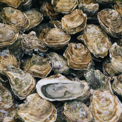 Sustainable Seafood: Oysters & The Blue Economy