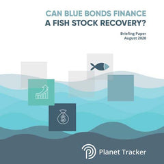 Can Blue Bonds Finance a fish stock recovery?