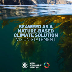 Seaweed As a Nature-Based Climate Solution Vision Statement