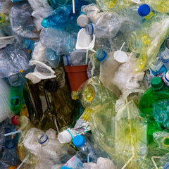 The Dangers of Plastic Pollution