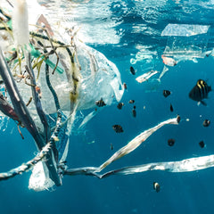 Breaking the Plastic Wave - Summary Report