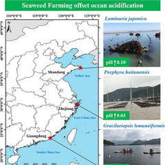 Seaweed farms provide refugia from ocean acidification