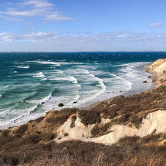 Ocean carbon dioxide removal: What’s on the horizon?