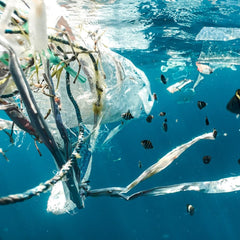 Plastic Is Everywhere—Except The One Place It Should Be