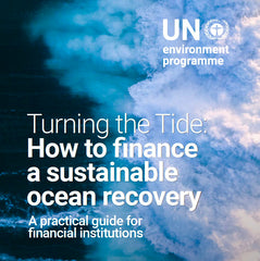 Turning the Tide: How to Finance a Sustainable Ocean Recovery