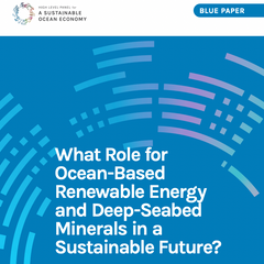 What Role for Ocean-Based Renewable Energy and Deep-Seabed Minerals in a Sustainable Future?