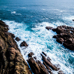 The ocean is changing faster than ever. Investing in nature can help protect it